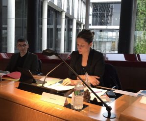 Intervention sur le plan départemental d’insertion et de retour à l’emploi